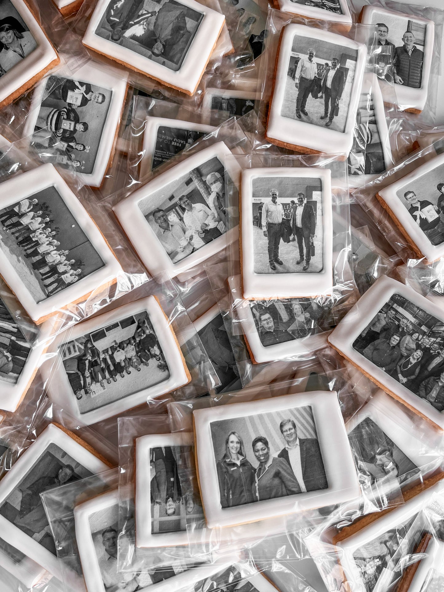 Polaroid Biscuits