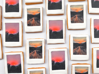 Polaroid Biscuits