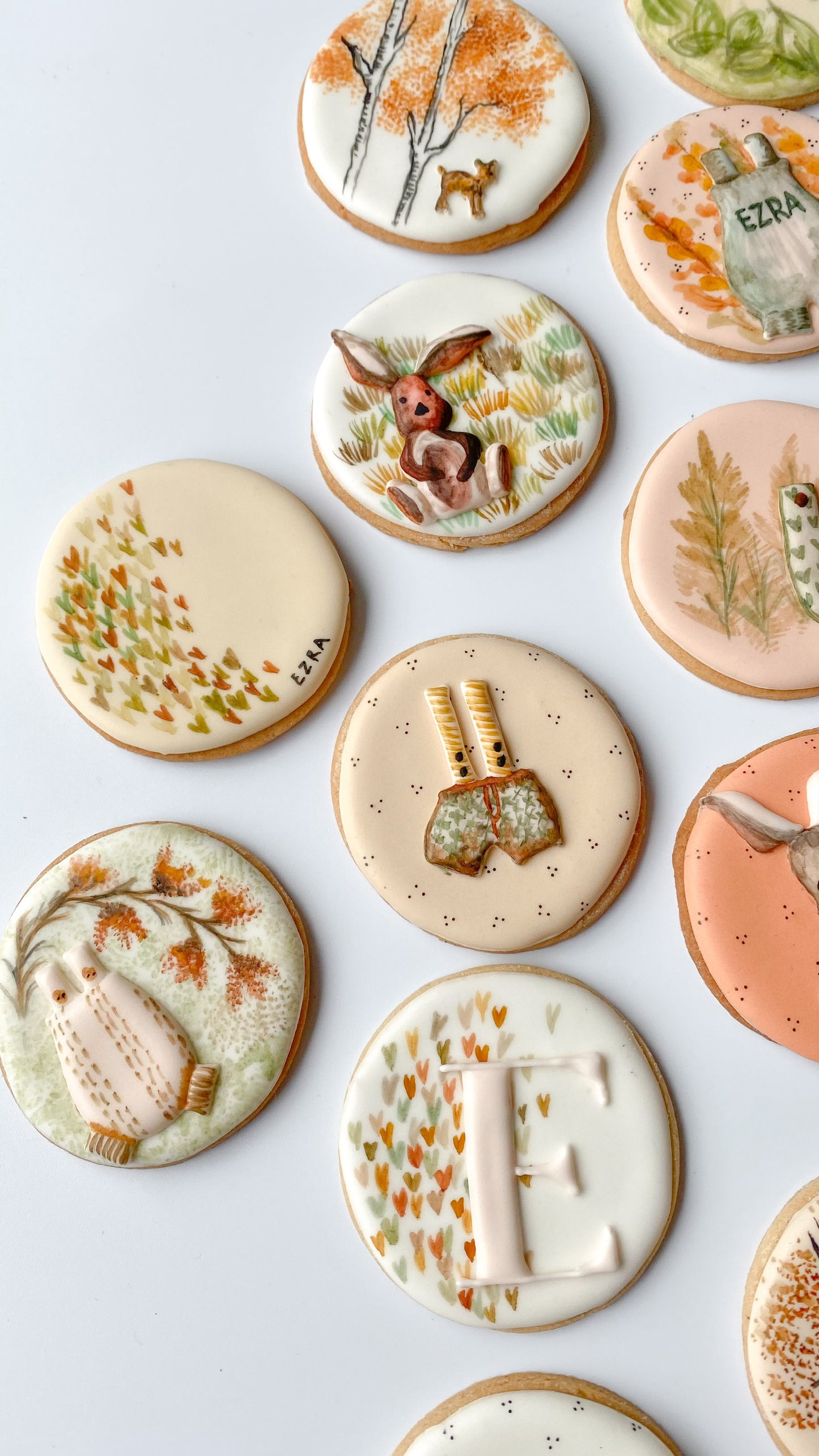 Woodland-Themed Baby Shower Biscuits