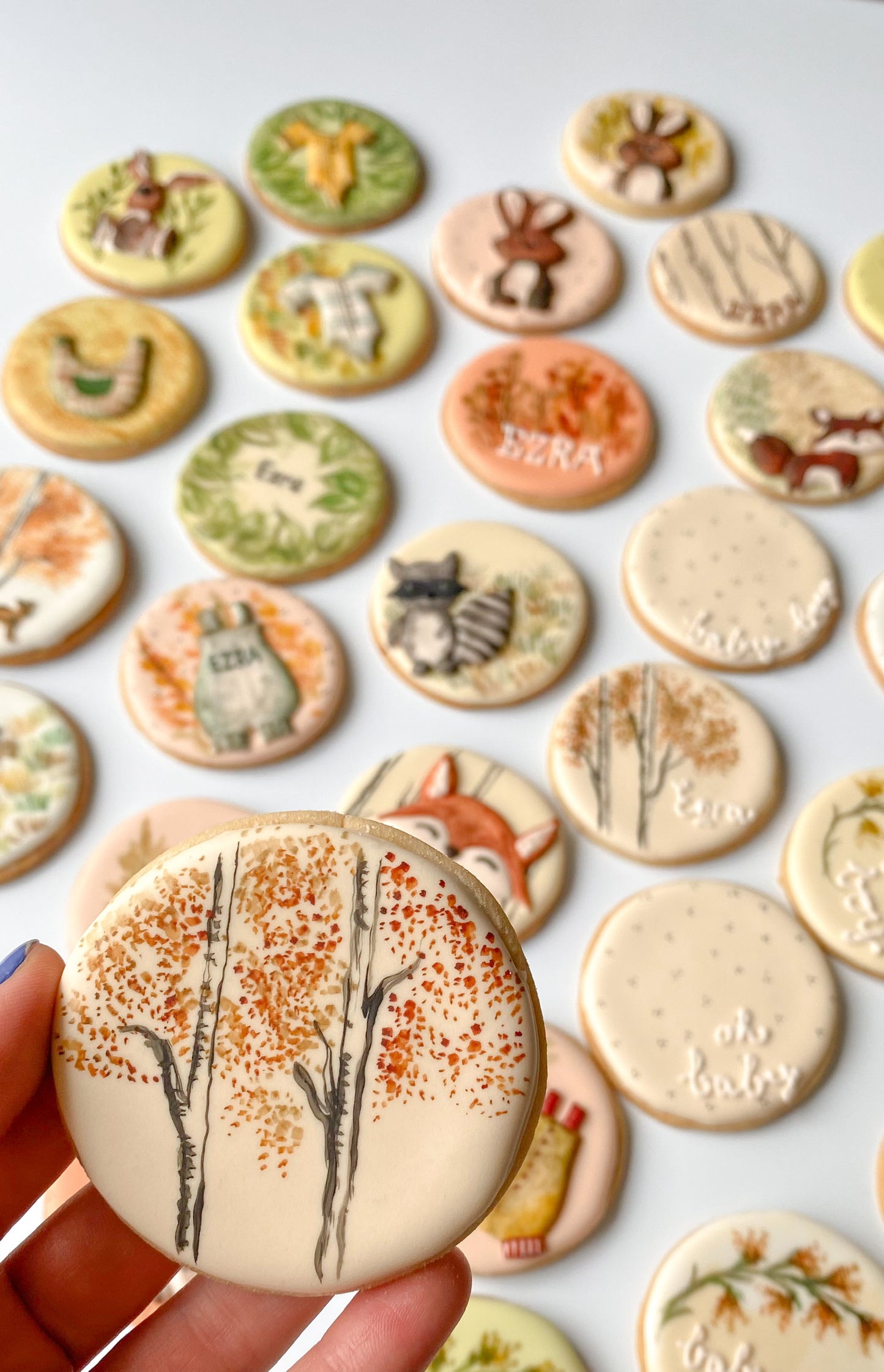 Woodland-Themed Baby Shower Biscuits