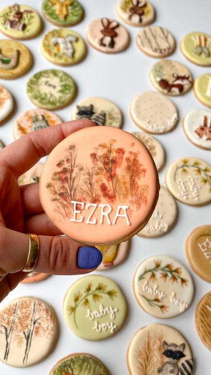 Woodland-Themed Baby Shower Biscuits