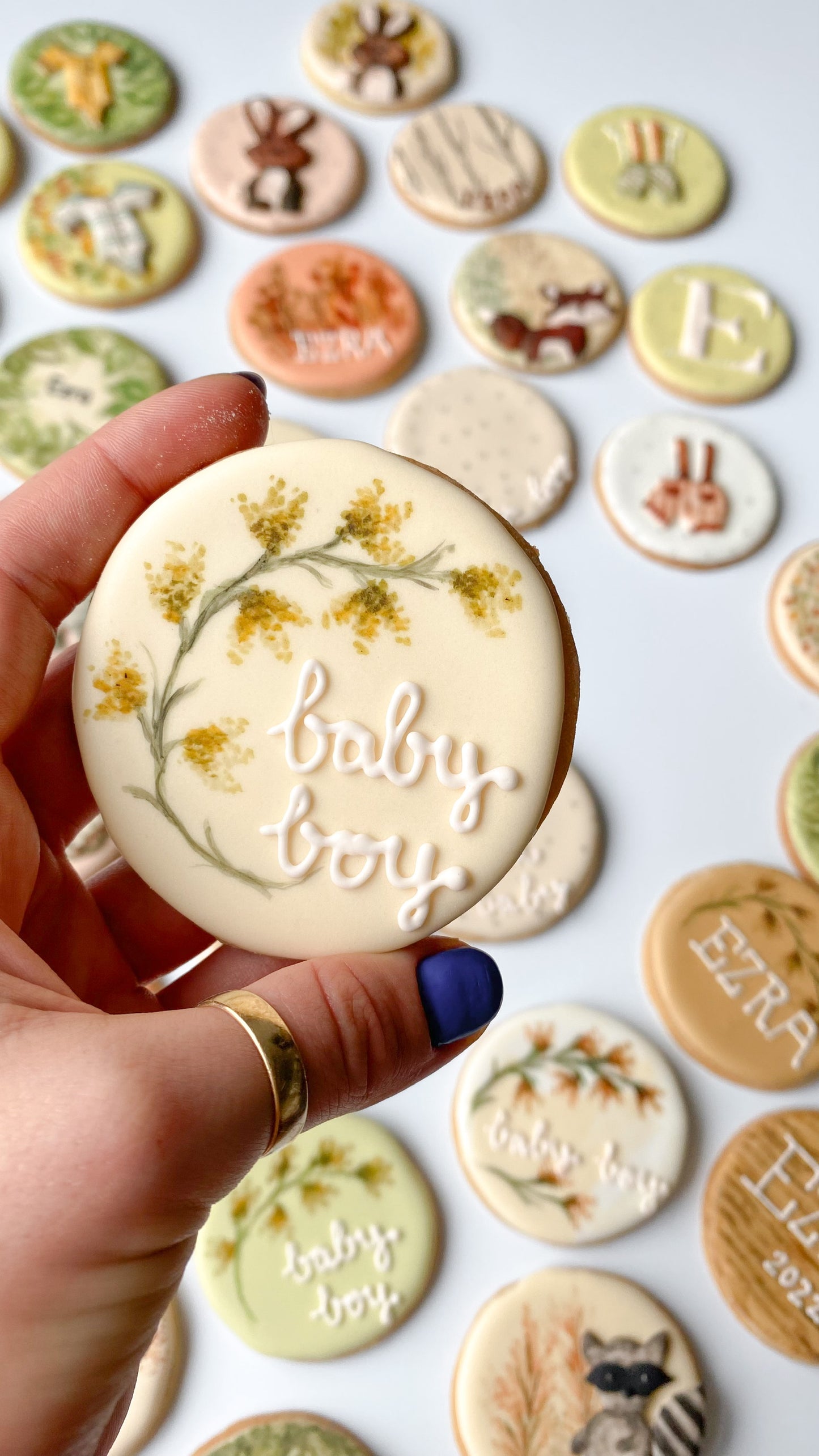 Woodland-Themed Baby Shower Biscuits